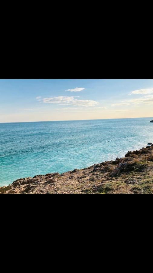 Grand Studio Bord De Mer Plus Piscine Sète Esterno foto